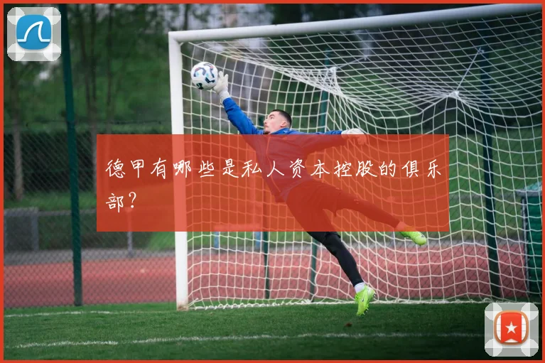 德甲有哪些是私人资本控股的俱乐部？