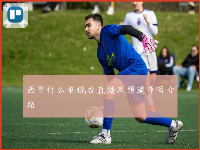 西甲什么电视台直播及频道节目介绍