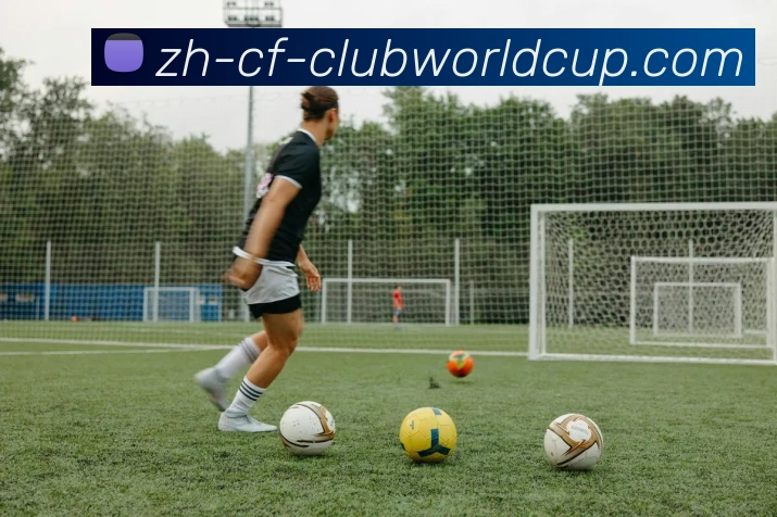 世界杯官网平台生态图